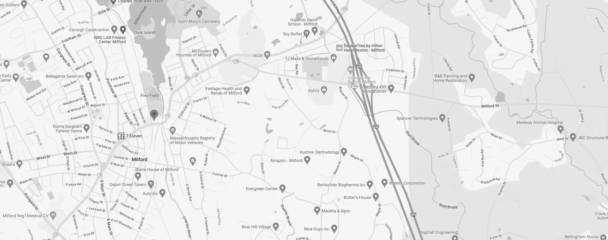 google map